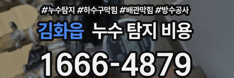 김화읍 누수 탐지 비용