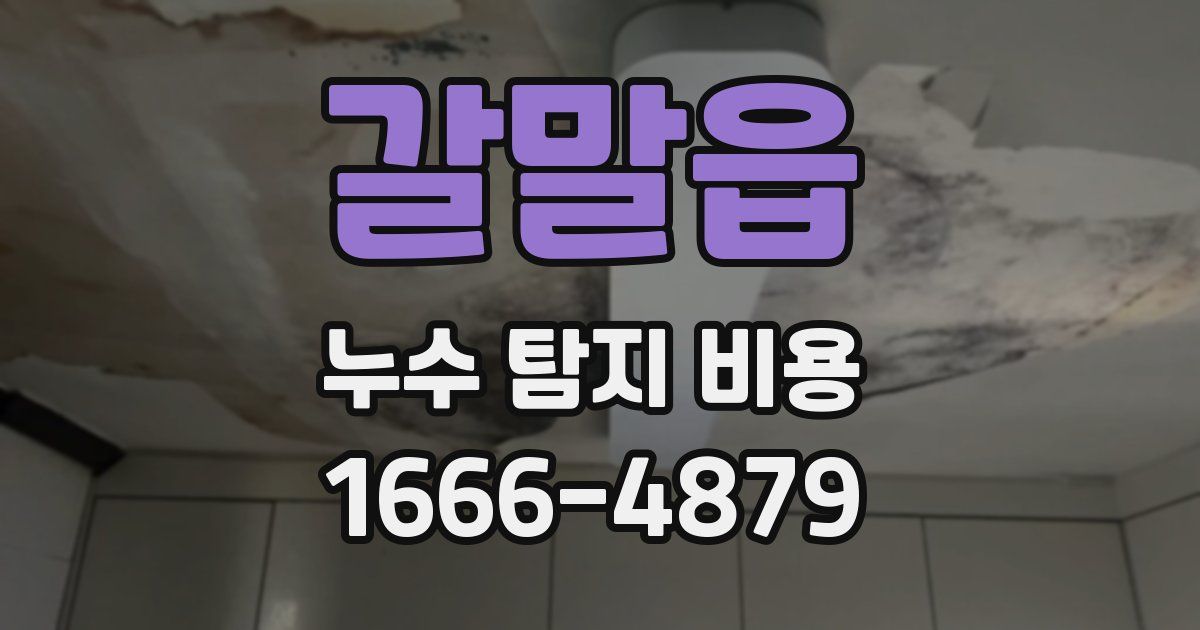 갈말읍 누수 탐지 비용