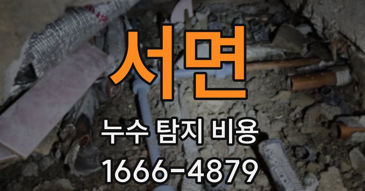 서면 누수 탐지 비용