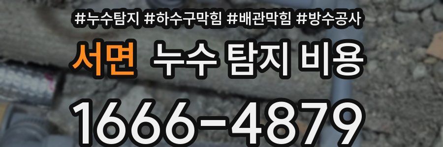 서면 누수 탐지 비용