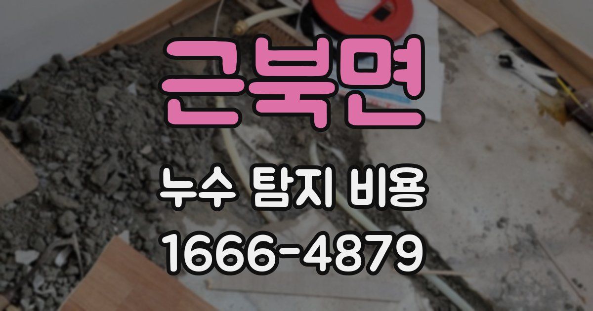 근북면 누수 탐지 비용
