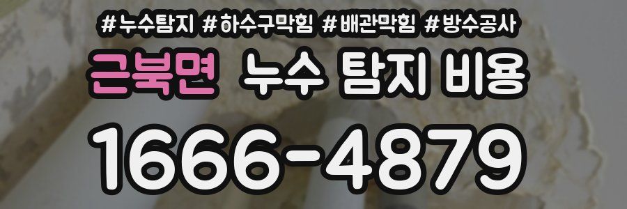 근북면 누수 탐지 비용