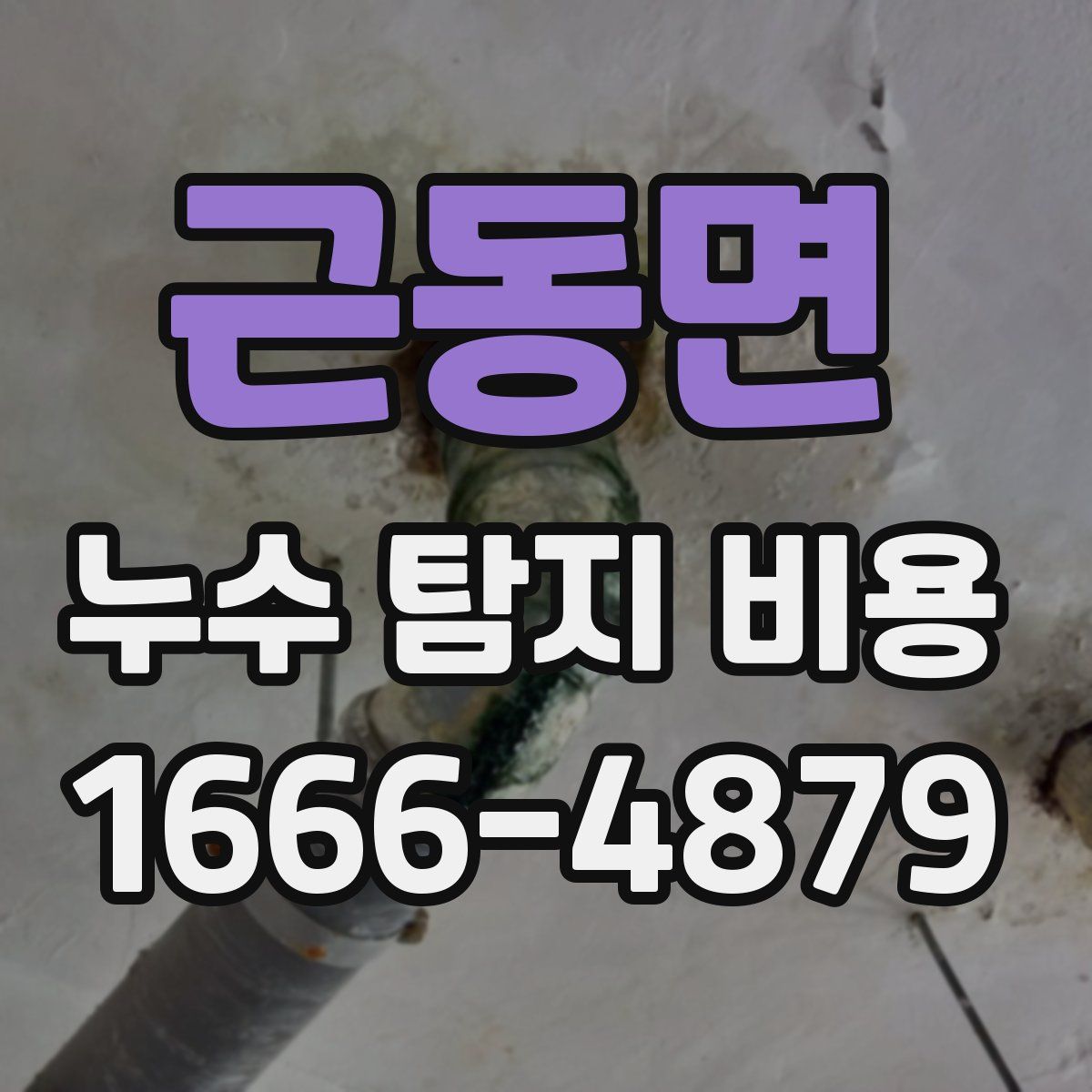 근동면 누수 탐지 비용