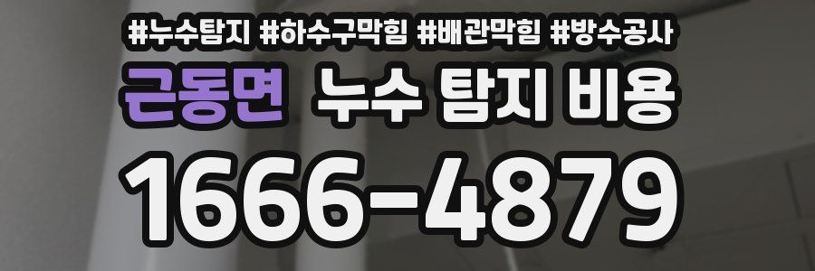 근동면 누수 탐지 비용