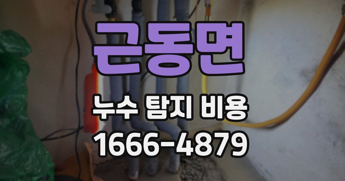근동면 누수 탐지 비용