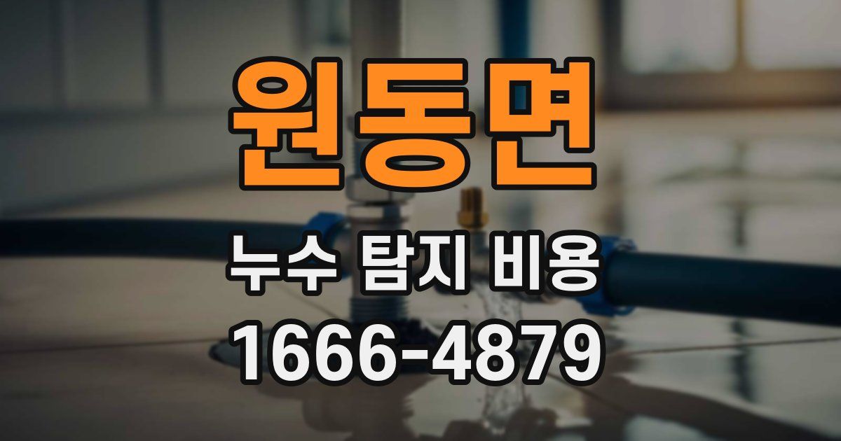 원동면 누수 탐지 비용