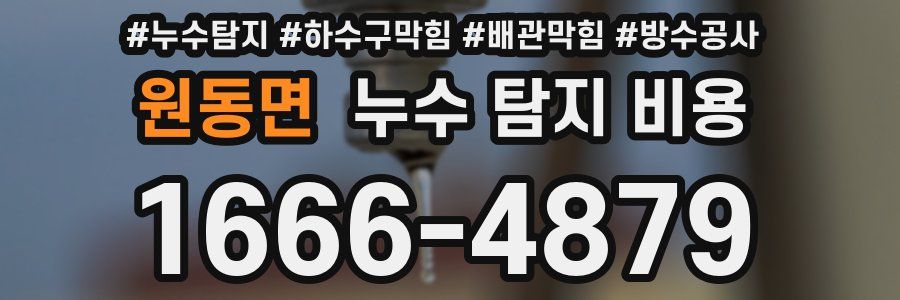 원동면 누수 탐지 비용