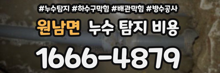 원남면 누수 탐지 비용