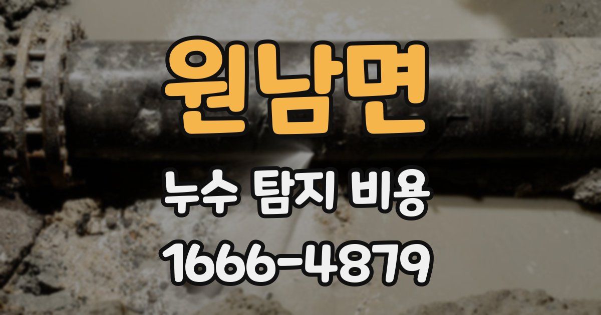 원남면 누수 탐지 비용