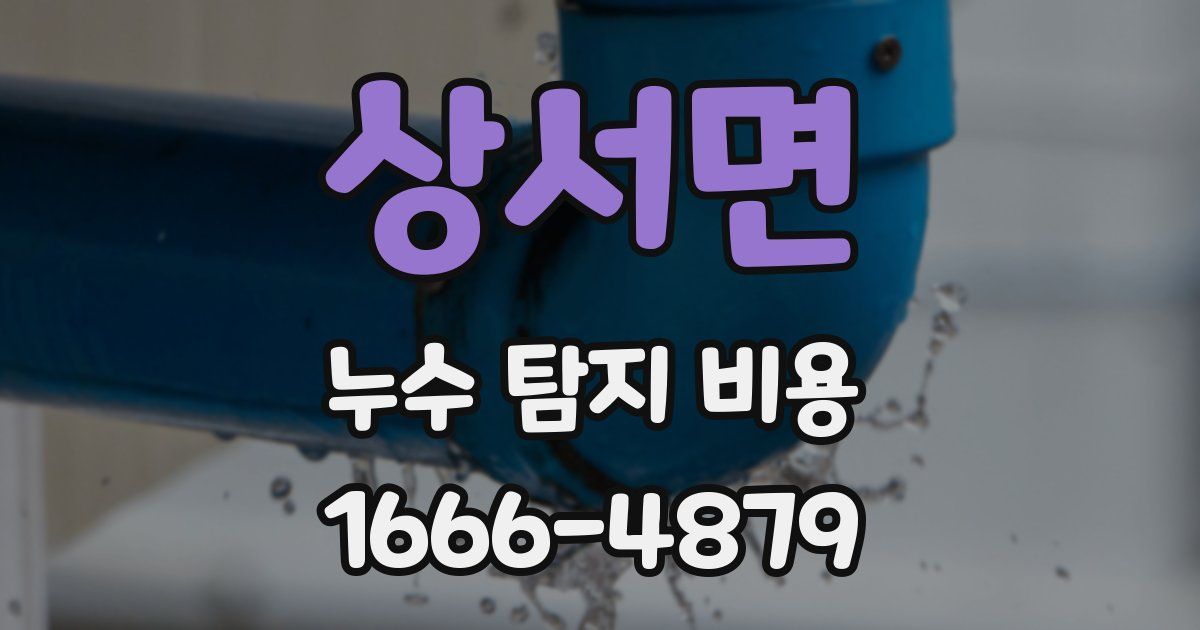 상서면 누수 탐지 비용