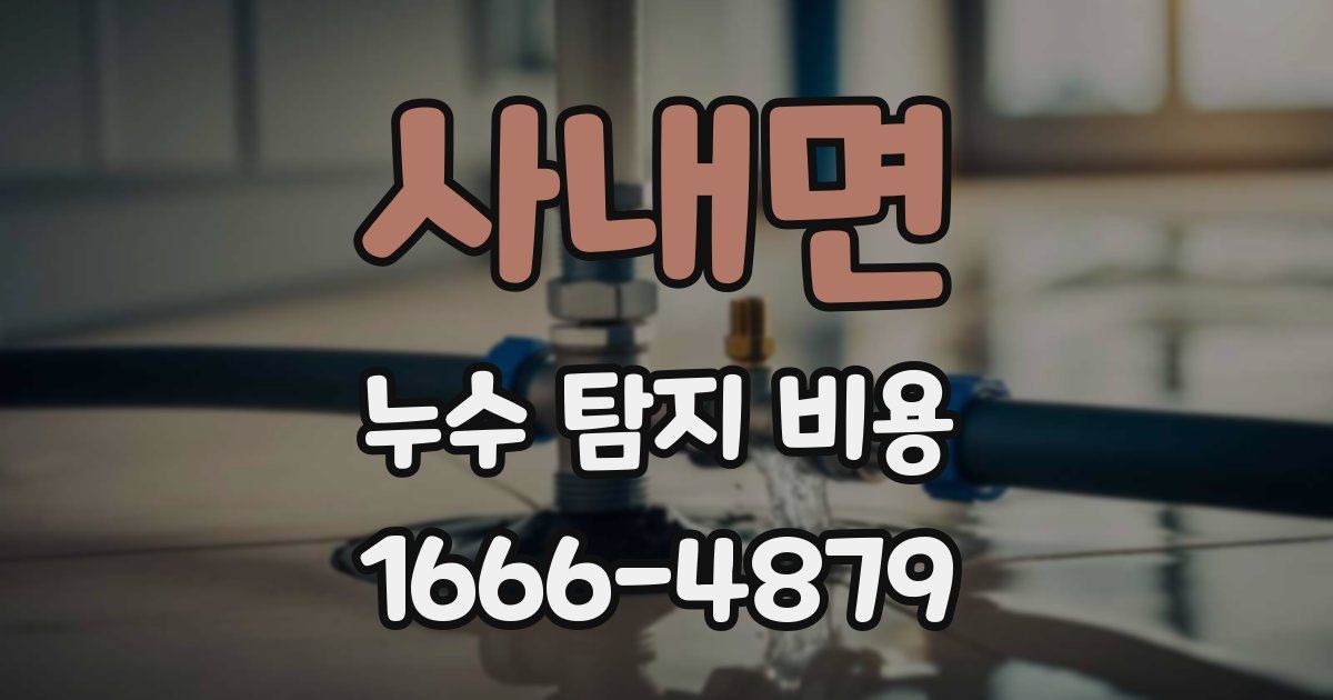 사내면 누수 탐지 비용