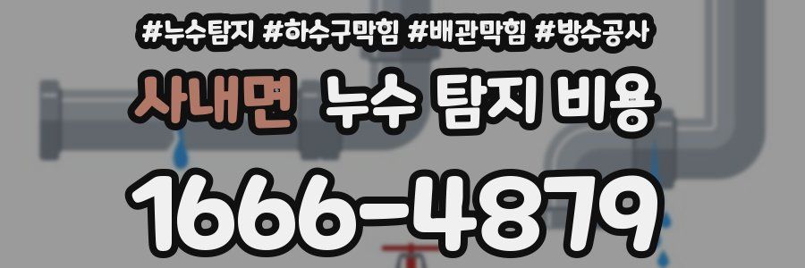 사내면 누수 탐지 비용