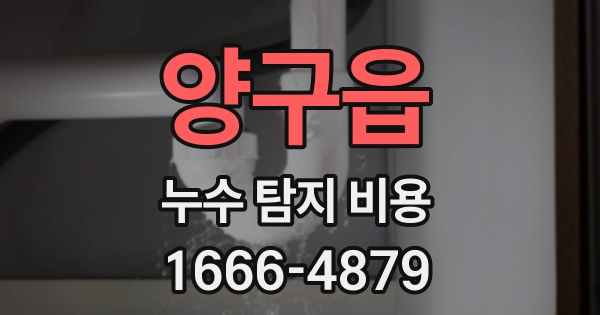 양구읍 누수 탐지 비용