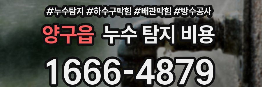 양구읍 누수 탐지 비용