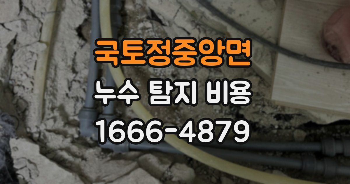 국토정중앙면 누수 탐지 비용
