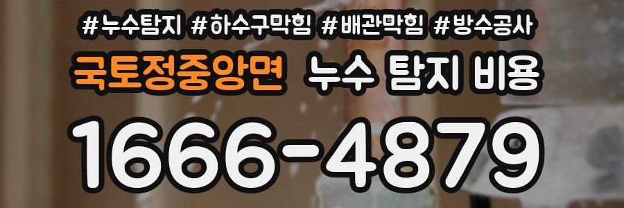 국토정중앙면 누수 탐지 비용