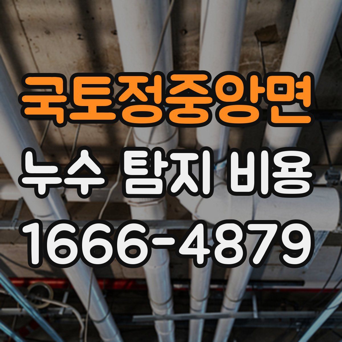 국토정중앙면 누수 탐지 비용
