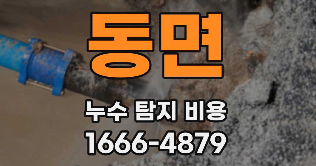동면 누수 탐지 비용