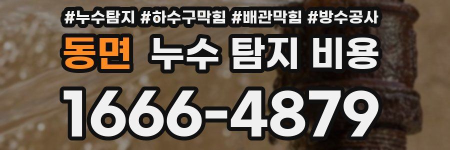 동면 누수 탐지 비용