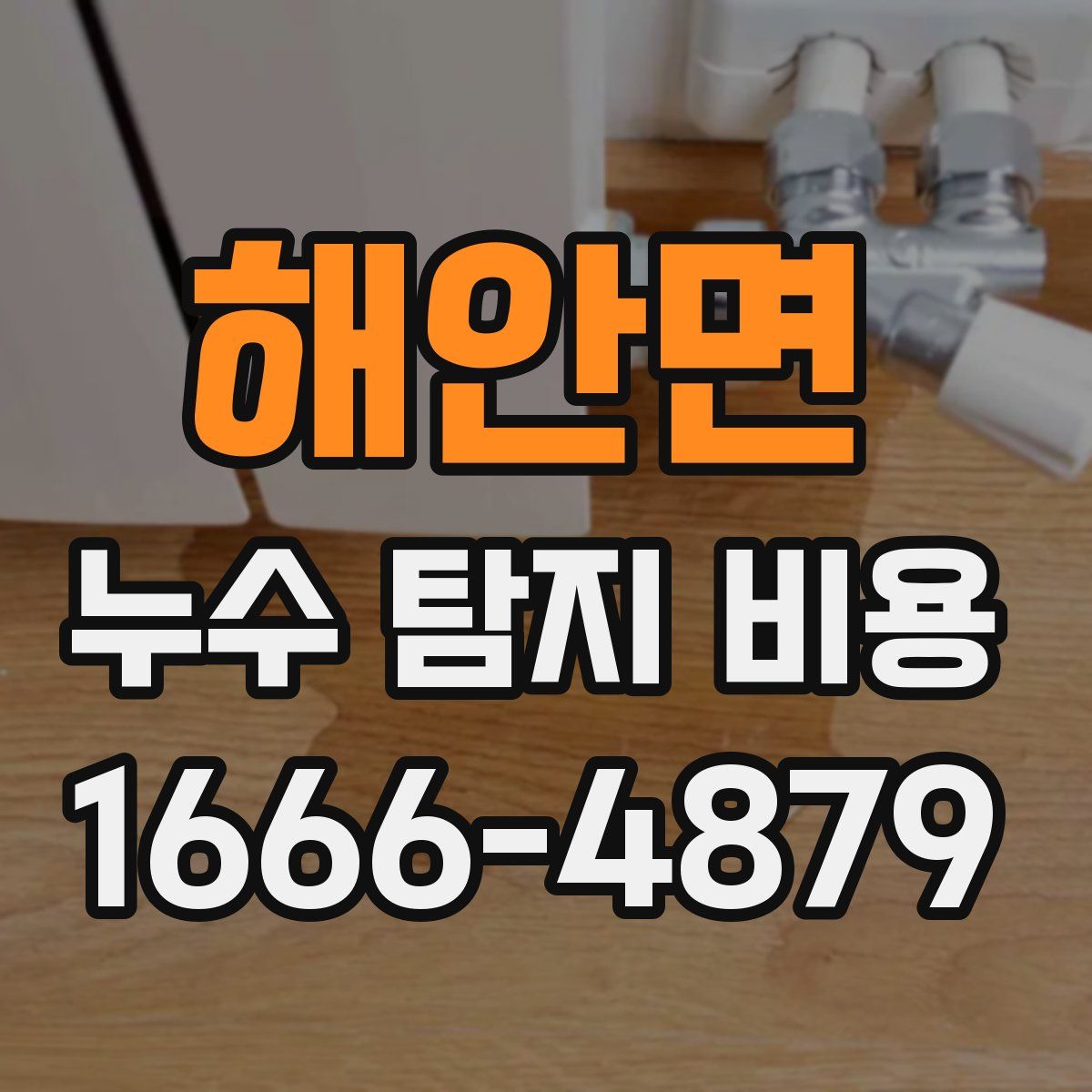 해안면 누수 탐지 비용
