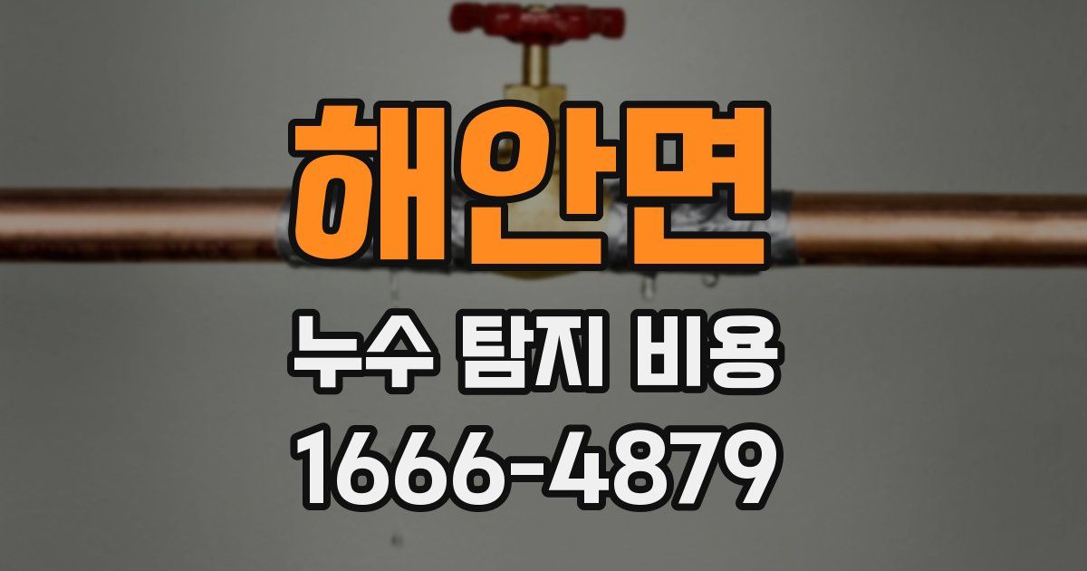 해안면 누수 탐지 비용