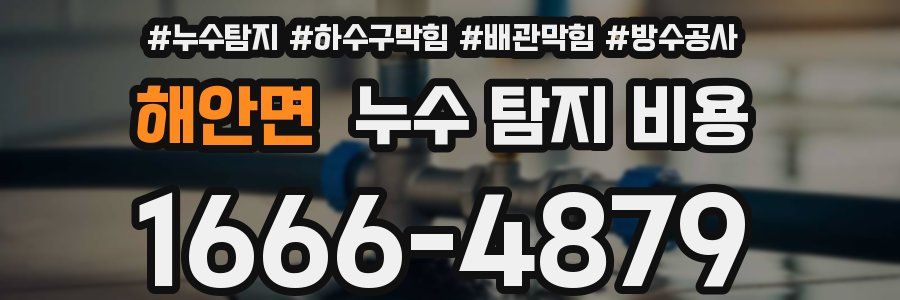 해안면 누수 탐지 비용