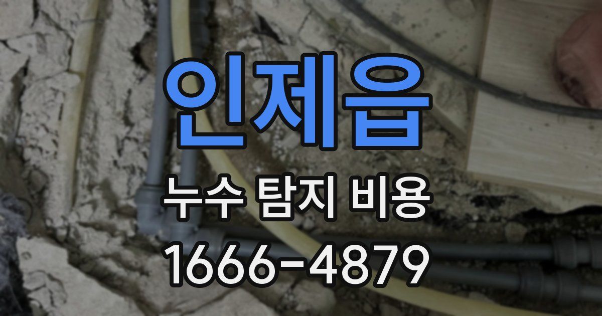 인제읍 누수 탐지 비용