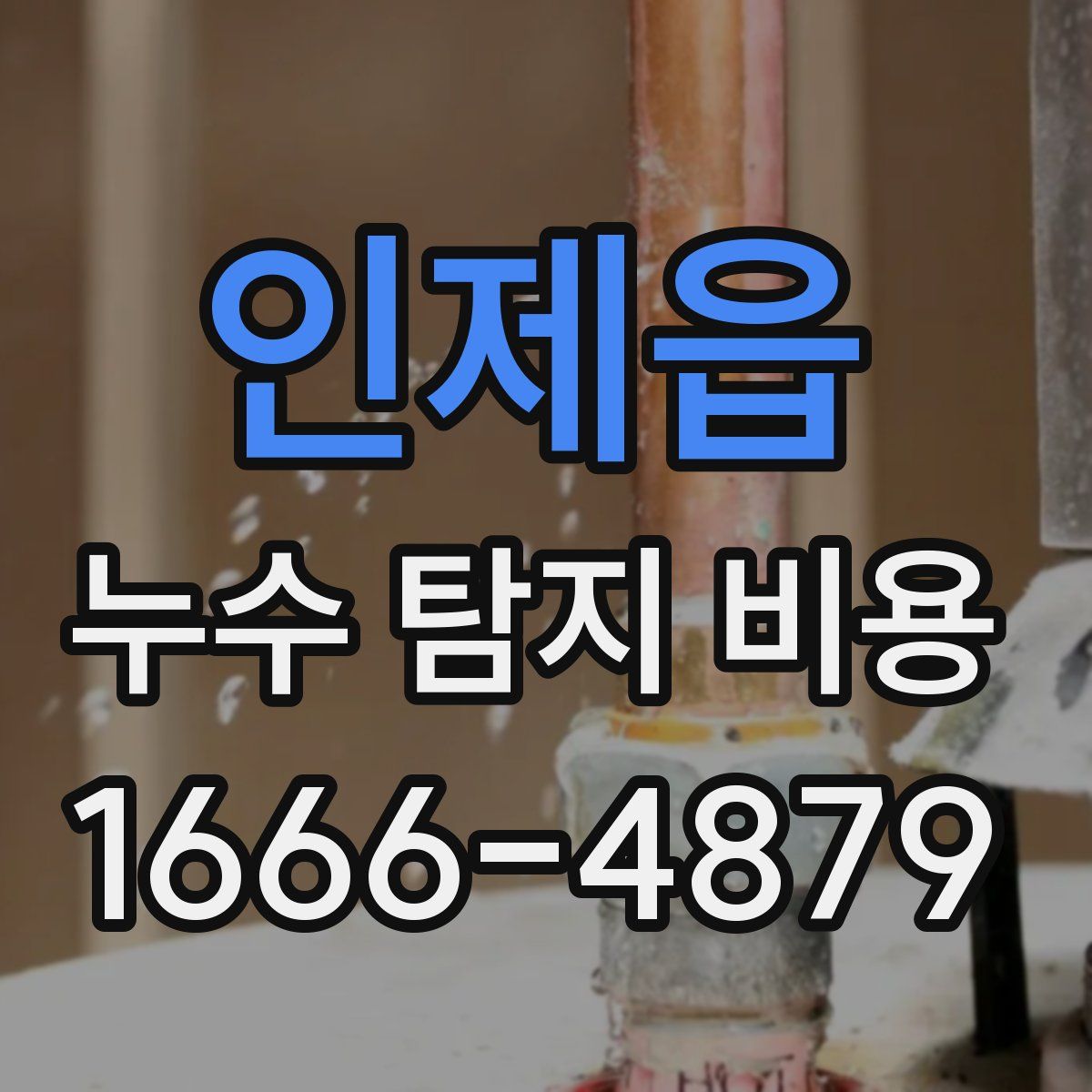인제읍 누수 탐지 비용