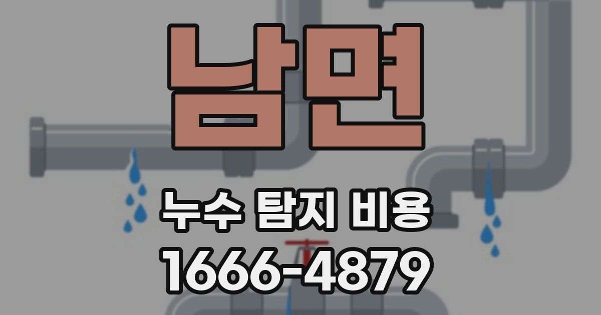 남면 누수 탐지 비용