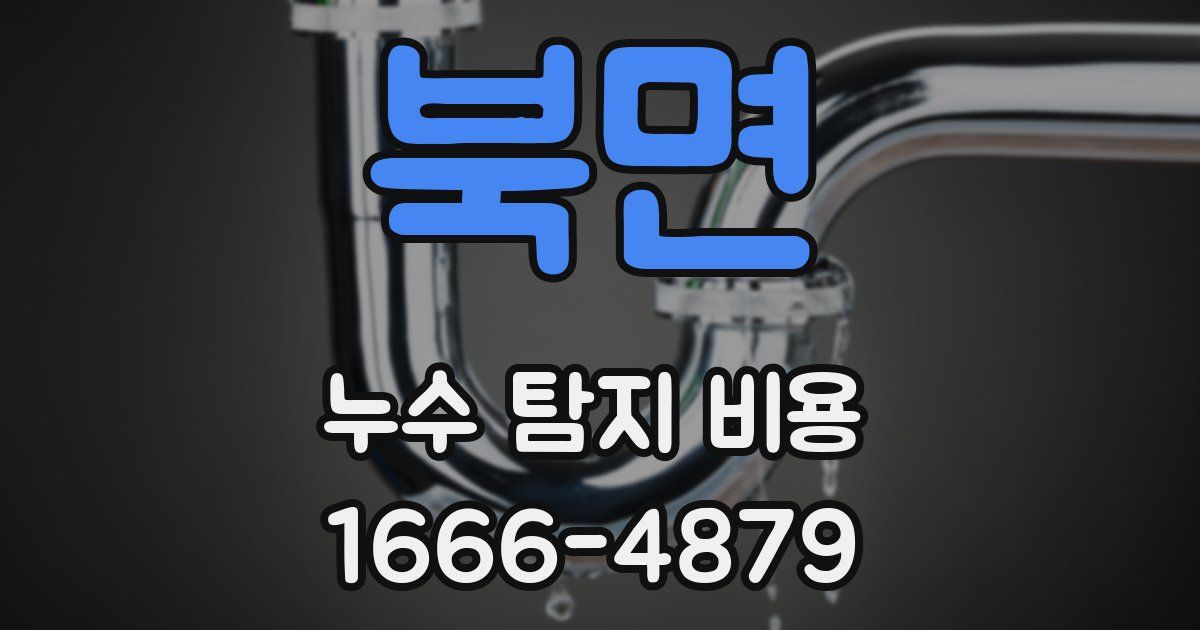 북면 누수 탐지 비용