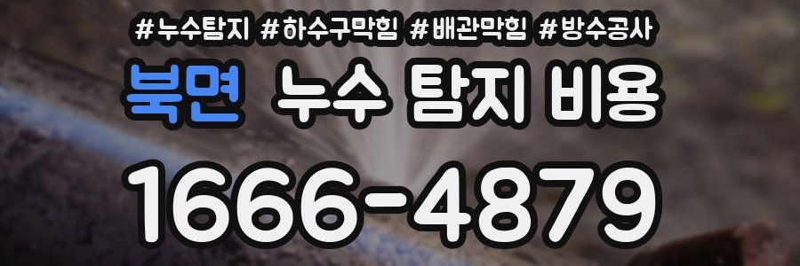 북면 누수 탐지 비용