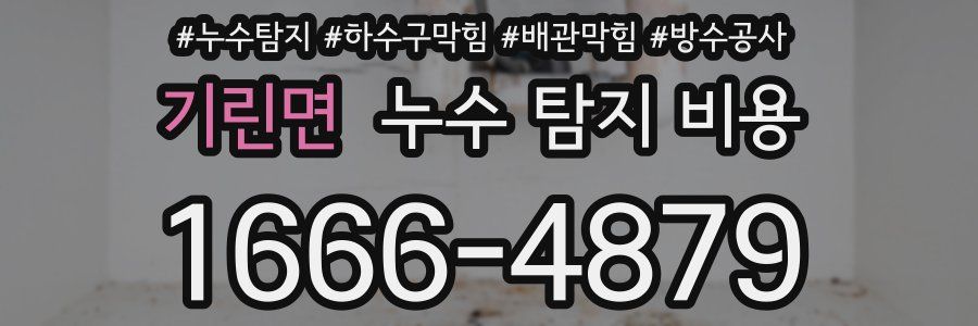 기린면 누수 탐지 비용