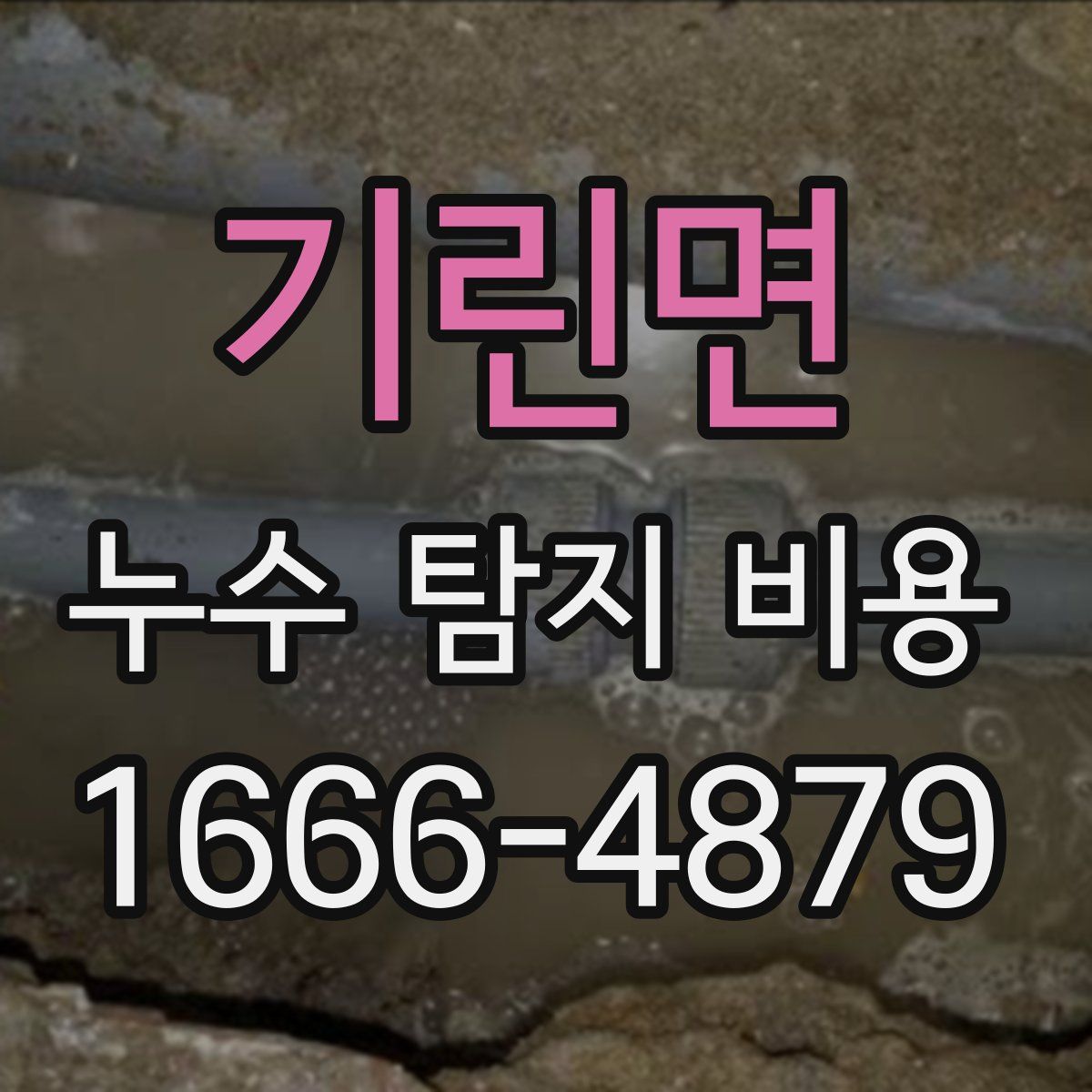 기린면 누수 탐지 비용