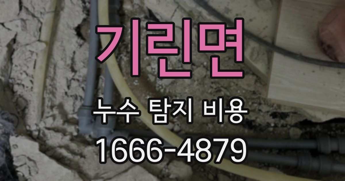 기린면 누수 탐지 비용