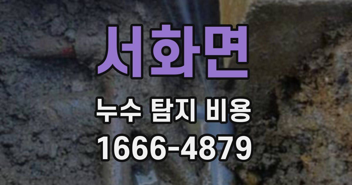 서화면 누수 탐지 비용