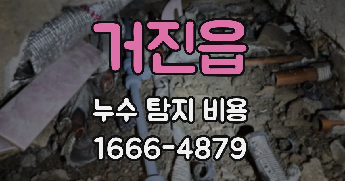 거진읍 누수 탐지 비용