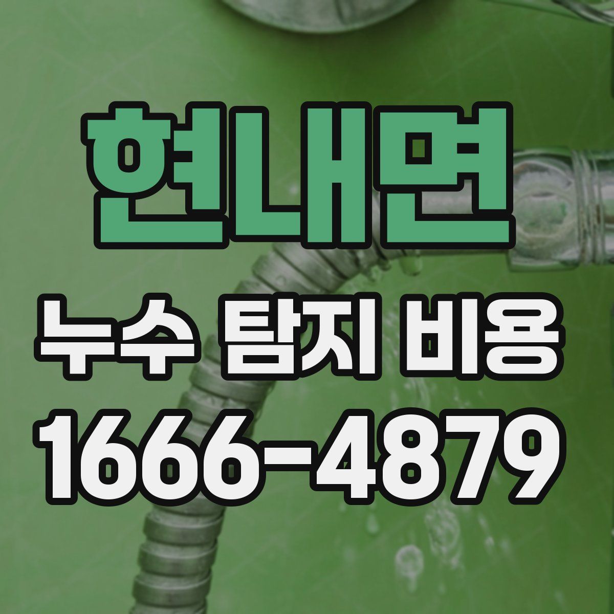 현내면 누수 탐지 비용