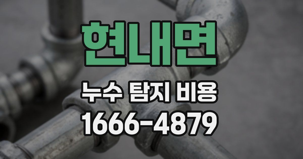 현내면 누수 탐지 비용