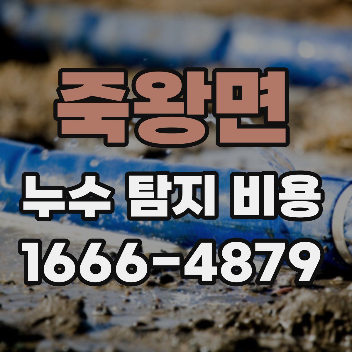 죽왕면 누수 탐지 비용