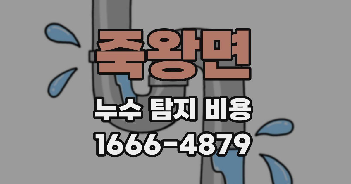 죽왕면 누수 탐지 비용