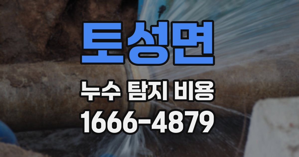 토성면 누수 탐지 비용