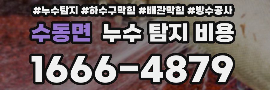수동면 누수 탐지 비용