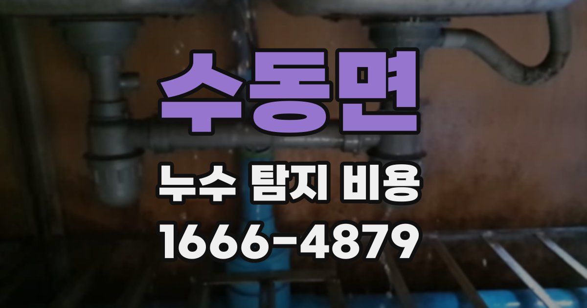수동면 누수 탐지 비용