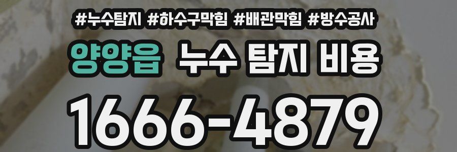 양양읍 누수 탐지 비용