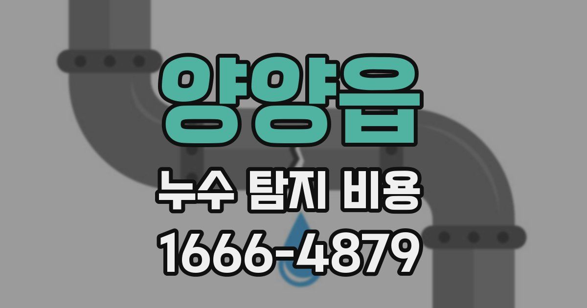 양양읍 누수 탐지 비용
