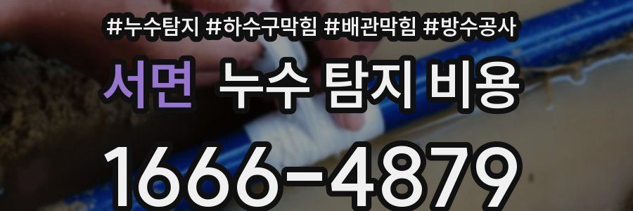 서면 누수 탐지 비용