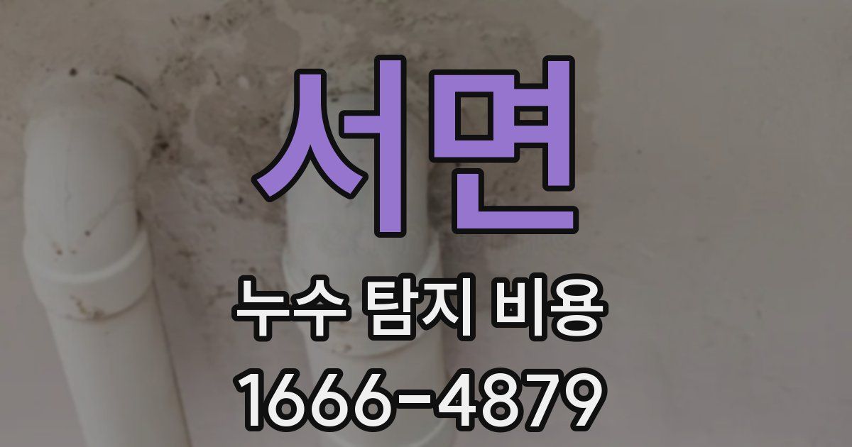 서면 누수 탐지 비용