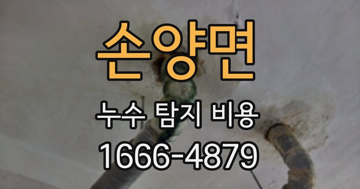 손양면 누수 탐지 비용