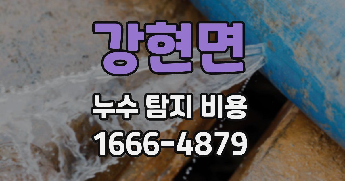 강현면 누수 탐지 비용