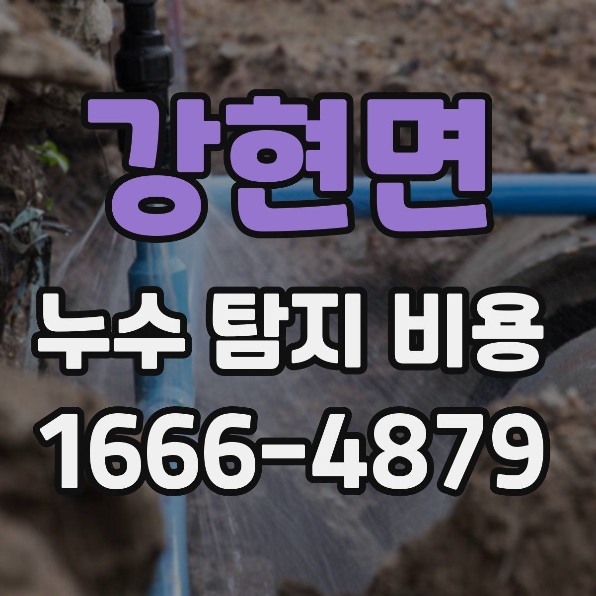 강현면 누수 탐지 비용
